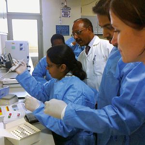 Abb.2: Vorbereitung der Multiplex-Real-Time-PCR-Kits in einem Labor in Doha.