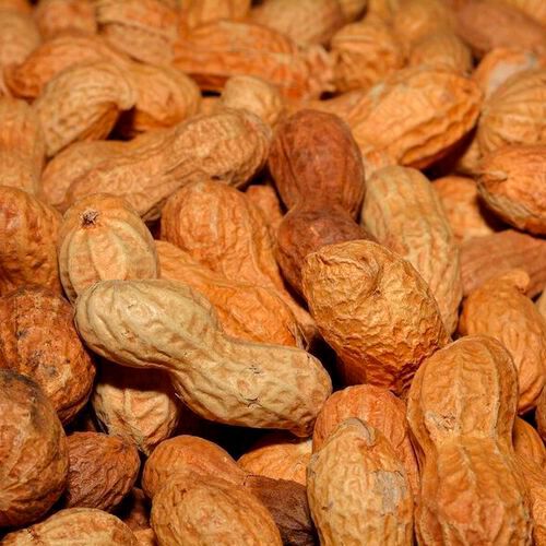 A new treatment could protect against peanut and other food allergies. A new treatment could protect against peanut and other food allergies.
