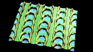 Von der Natur inspiriert und per Laser auf einen Stahlbolzen gefräst: 3-D-Aufnahme der schuppenähnlichen Struktur. (Bild: Christian Greiner, KIT)