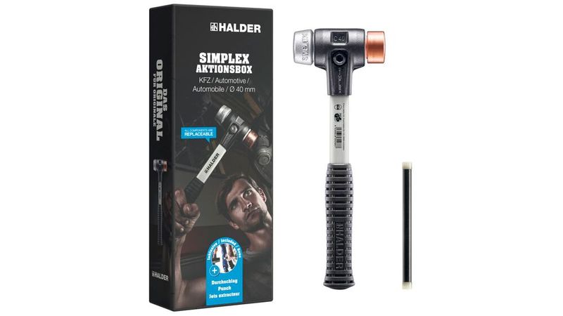 Das Simplex-Modell (Bild: Erwin Halder)