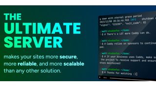 Caddy als Webserver einsetzen (Bild: Thomas Joos)