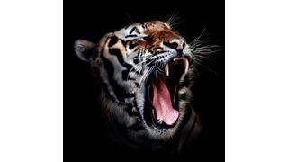  (Bildquelle: Pixabay, CCO Public Domain)