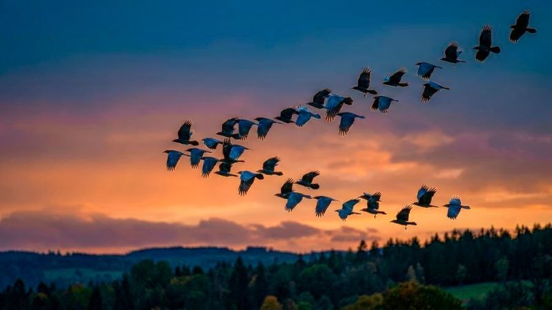 Der dänische Anbieter von Cloud-ERP expandiert in den deutschen Markt und bietet offene Architektur statt überdimensionierter ERP-Suiten.(Bild: ©  flowstd - stock.adobe.com / KI-generiert)