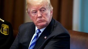 Donald Trump lässt mal wieder die (EU)-Welt erzittern. Denn letztens hat er angekündigt, die bestehenden Zölle auf Lkw und Pkw aus der EU deutlich anzuheben. Das schmeckt vor allem deutschen Autoherstellern gar nicht, wenn es kommen sollte ... (Bild: AP)