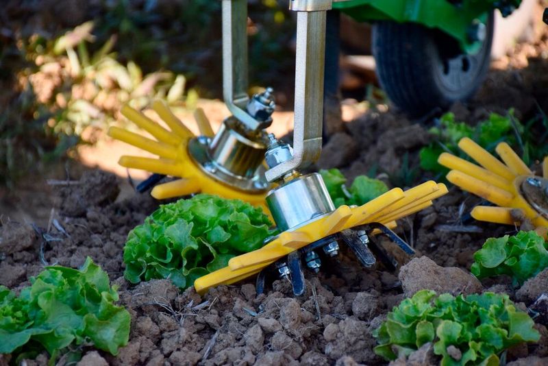 Hackroboter, die mit KI Unkraut erkennen und den Einsatz von Pflanzenschutzmittel reduzieren, sollen künftig verstärkt auf den Feldern in NRW eingesetzt werden.(Bild:  Naio Technologies)