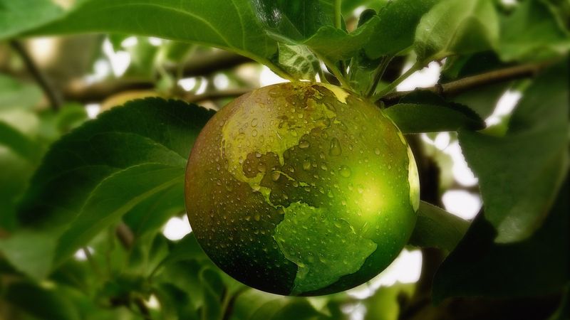 (Bild:  geralt /  Pixabay)