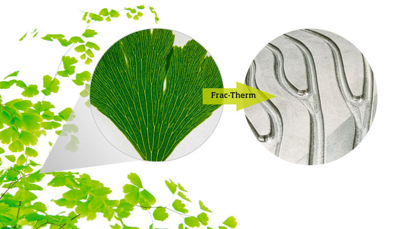 The vein structure of the maidenhair fern can serve as a biological model for the uniform flow of coolant through molds. The solution is provided by the geometric Frac-Therm algorithm. (Beismann/Grunewald; ©Kanea - stock.adobe.com)