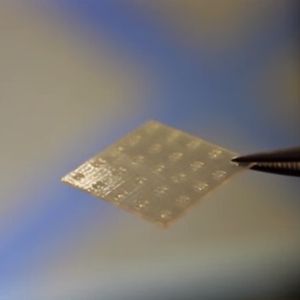 (MPI für Intelligente Systeme)