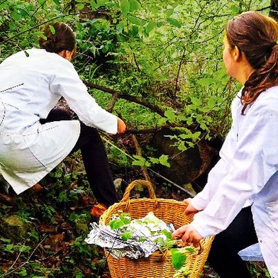 Am Rand einer Landstraße hat das Projektteam Bodenproben genommen, um sie auf Mikroplastik zu untersuchen. (Bild: Prof. Dr. Sebastian Hein / Hochschule für Forstwirtschaft Rottenburg)
