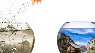 Die Energiewende ist präsenter denn je: Auch die industrielle Elektrotechnik wagt den Sprung in eine ressourcenschonende und energieeffiziente Zukunft. (© stockphoto-graf - Fotolia)