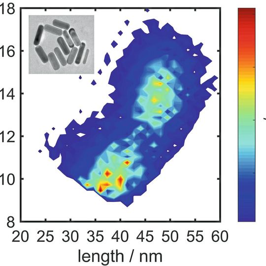 FAU-Forscher können nun in einem Schritt die Größe von Nanostäbchen ermitteln. Im Bild zu sehen die Längen- und Durchmesserverteilung von Goldpartikel – die meisten waren hier zwischen 35 u FAU-Forscher können nun in einem Schritt die Größe von Nanostäbchen ermitteln. Im Bild zu sehen die Längen- und Durchmesserverteilung von Goldpartikel – die meisten waren hier zwischen 35 u
