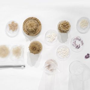 Die Kunsthochschule Burg Giebichenstein in Halle wurde mit dem „Best Student Award“ für das Projekt GlasKlar ausgezeichnet. Es schafft einen 3D-Lebensraums für Bakterien. (Bild:  3DPC)