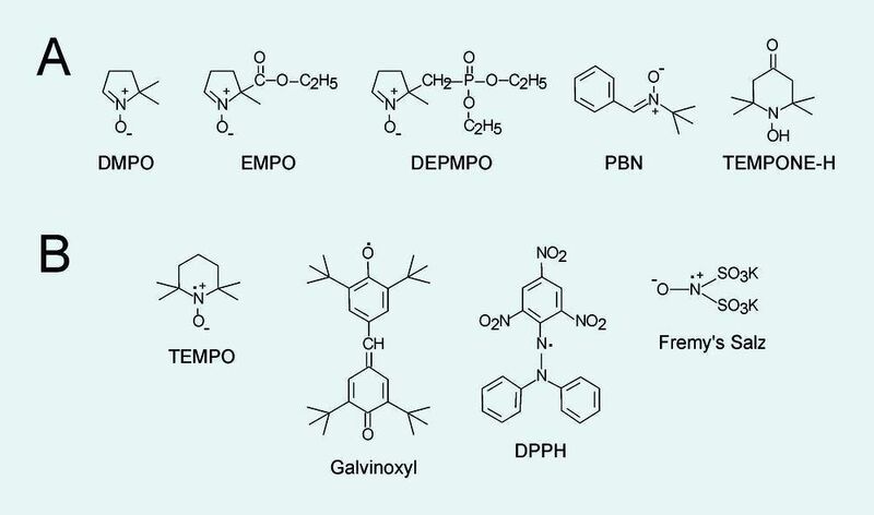 6  Beispiele von chemischen Verbindungen, die als (A) Spin-Traps oder (B) stabilisierte Radikale eingesetzt werden. (Archiv: Vogel Business Media)