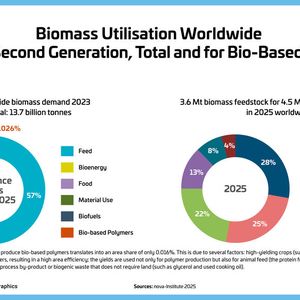 Während der Großteil der Biomasse (57 %) für die Futtermittelproduktion genutzt wird, werden für die Herstellung biobasierter Polymere lediglich 0,026 % benötigt.(Bild:  Nova-Institut)