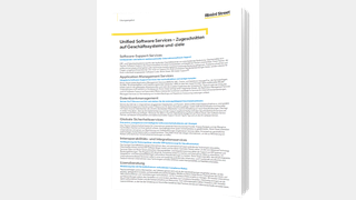 Unified Software Services – Zugeschnitten auf Geschäftssysteme und -ziele