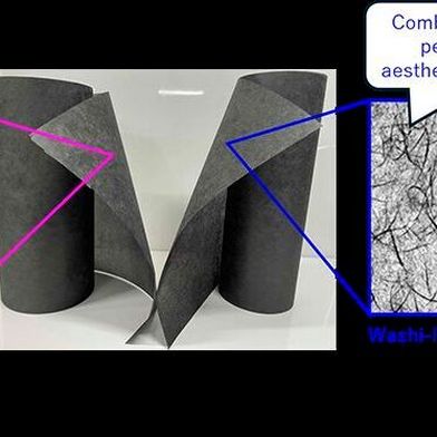 The recycled carbon fibers produced with this technology exhibit controllable water dispersibility. This enables the creation of both homogeneous nonwoven structures and those with characteristic textures reminiscent of traditional Japanese Washi paper. (Image:Toray)