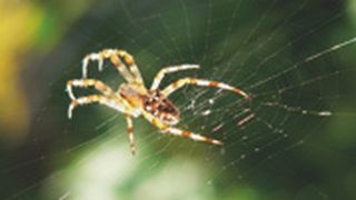  (Archiv: Vogel Business Media)