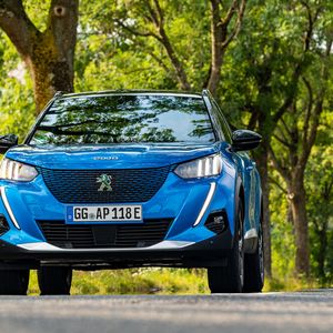 Und am blau eingefärbten Löwen im Kühlergrill.(Bild:  Peugeot/Markus Heimbach)