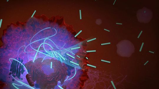 Künstlerische Darstellung einer neuen Methode der Krebstherapie: Durch die Bedingungen in einer Krebszelle können sich Moleküle – hier hellgrün gezeichnet – zu langen Haaren zusammenfügen. Diese stoppen dann die Umwandlung von Sauerstoff in Energie, welche die Zelle zum Wachstum benötigt. Die Folge: Die Krebszelle stirbt ab. Künstlerische Darstellung einer neuen Methode der Krebstherapie: Durch die Bedingungen in einer Krebszelle können sich Moleküle – hier hellgrün gezeichnet – zu langen Haaren zusammenfügen. Diese stoppen dann die Umwandlung von Sauerstoff in Energie, welche die Zelle zum Wachstum benötigt. Die Folge: Die Krebszelle stirbt ab.