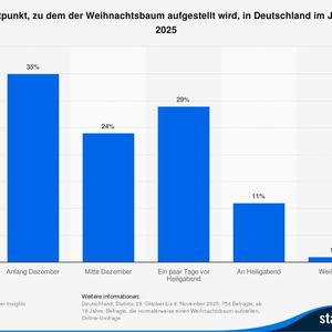 Im Jahr 2025 gaben 29 Prozent der Befragten an, ihren Weihnachtsbaum normalerweise ein paar Tage vor Heiligabend aufzustellen. Die repräsentative Umfrage hat Statista von Oktober bis November 2025 durchgeführt.(Bild:  Statista Consumer Insights)