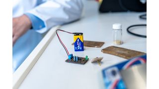 Jetzt gibt es kompostierbare Leiterplatten aus Pilzmyzel, um in Zukunft vielleicht Berge von Elektroschrott zu vermeiden. Hier ist eine solche im Funktionstest. Hat sie ausgedient, kann sie entsorgt werden, wobei die Elektronikkomponenten auf ihr, keinen Schaden nehmen würden ... (Bild: TU Bergakademie Freiberg / A. Hiekel)