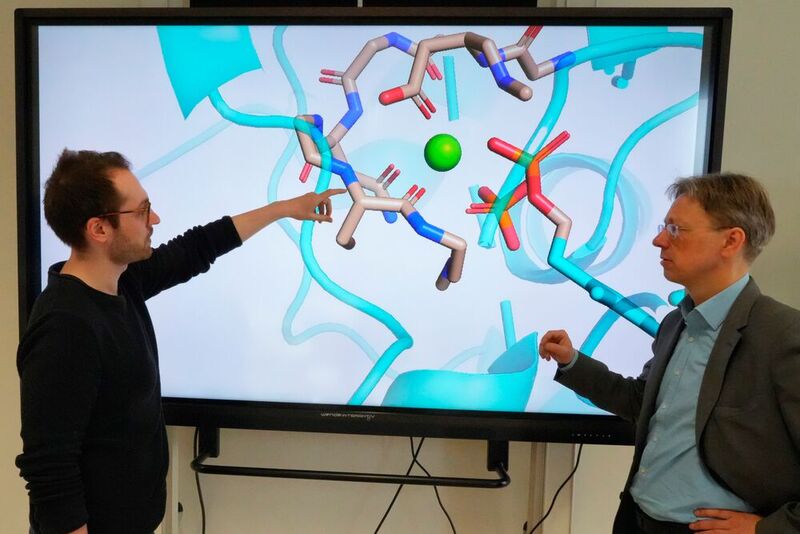 Doktorand Vivian Willers (links) und Prof. Volker Sieber ist es gelungen, wichtige Aminosäure aus Klimagas CO2 herzustellen.