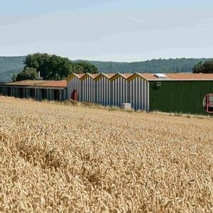 Die Außenseite der Turnhallen-Fassade wurde mit Hohlkammerscheiben in einer Pfosten-Riegel-Konstruktion installiert, um die Optik des bestehenden Gebäudes mit Holzelementen zu bewahren.  (Bild:  Jason Klimatsas)