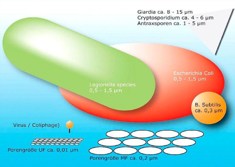Ultrafiltration und Mikrofiltration im Größenvergleich mit bekannten Wasserkeimen (Bild: IWW)