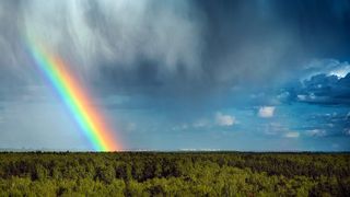 Nach der Euphorie muss nun Struktur in die Cloud-Projekte gebracht werden, damit diese nicht von vorneherein zum Scheitern kommen. (© MadCat13Shoombrat - stock.adobe.com)