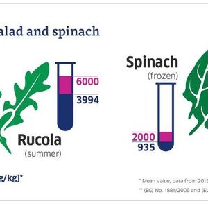 (German Federal Institute for Risk Management (BfR))