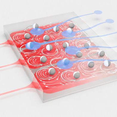 Vorhersehbares Chaos? Forscher aus Konstanz und Stuttgart haben zum ersten Mal mit einem System aus Flüssigkeit und Teilchenkollektiv gerechnet, statt mit elektronischen Schaltkreisen. Damit ist das sogenannte Reservoir Computing erstmals in der Praxis abgelaufen ... (Bild: Universität Konstanz)