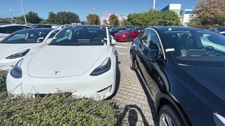 Gebrauchte Tesla-Fahrzeuge sind derzeit eine gefragte Spezies – anders als Neuwagen. (Bild: Grimm – VCG)