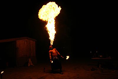 ... „Evolutions in Light“. (Archiv: Vogel Business Media)