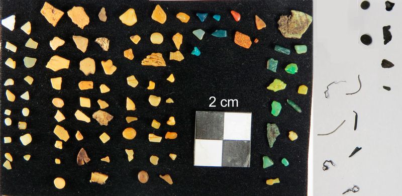 Plastik-Teilchen aus dem Magen eines Weihnachts-Sturmtauchers (Puffinus nativitatis), der tot auf der Insel Salas y Gómez gefunden wurde. (Matías Portflitt Toro)