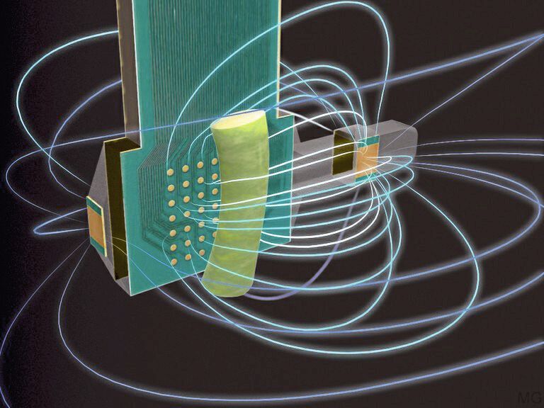 Elektrische Feldlinien, die sich um Kamera und Pflanze herum ausbreiten, sind in weiß-blauen Farben dargestellt. Sie verlaufen von den Sendeelektroden des dünnen, verlängerten Hinterendes zu den Messelektroden im vorderen Bereich sowie zur Frontelektrode des Gerätes (goldfarben). (Martin Gottwald/Hendrik Herzog)