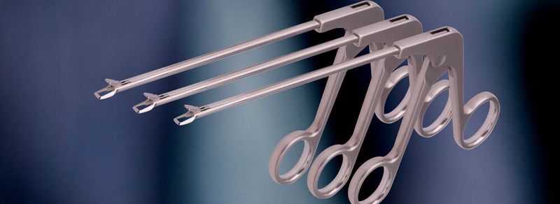 Instrumente für das Stanzen bei arthroskopischen Verfahren (Bild: Getsch+Hiller)