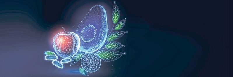 La ingeniería de procesos moderna y los conocimientos de química y física contribuyen al desarrollo de nuevos alimentos para la alimentación del futuro.(Imagen: ©Inna - stock.adobe.com)