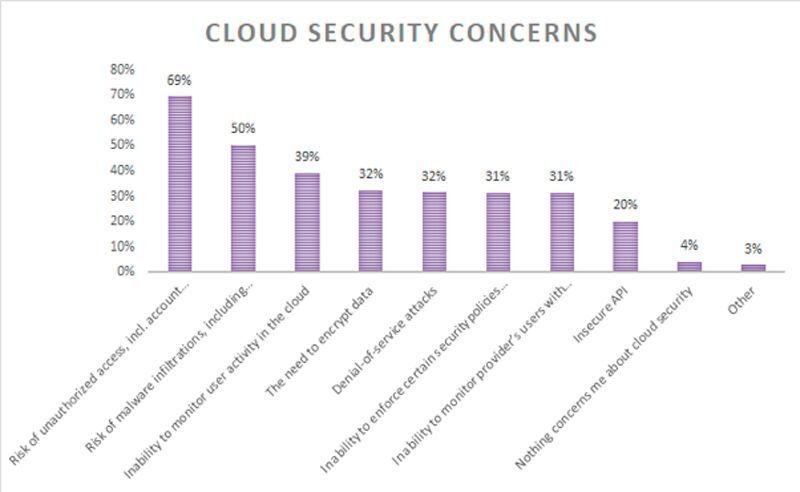 Die häufigsten Gründe für Bedenken hinsichtlich der Cloud Security. (Netwrix)