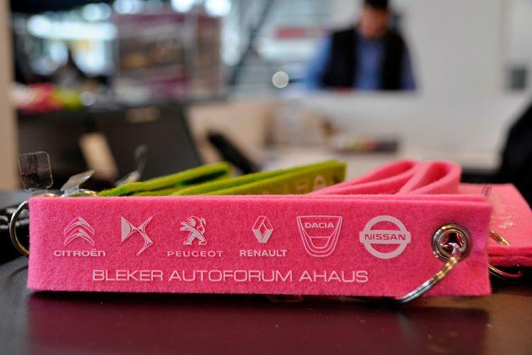 Sechs Marken unter einem Dach:  Citroën, DS Automobiles, Peugeot, Renault, Dacia und Nissan. (Bleker)