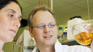 Professor Christoph Wittmann und sein Team haben ein Verfahren entwickelt, mit dem sie den Naturstoff Deoxyviolacein in ausreichender Menge in Bakterienkulturen herstellen. (Bild: AG Wittmann)