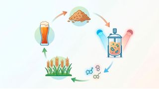 Das „iGEM“-Team der HHU Düsseldorf entwickelt mit „Cozyme" ein modulares System zur Verwertung von Biertreber. Durch lichtgesteuerte Mikroorganismen entsteht ein geschlossener biologischer Kreislauf zwischen Bierproduktion und Landwirtschaft. (Bild: Gemini / KI-generiert)