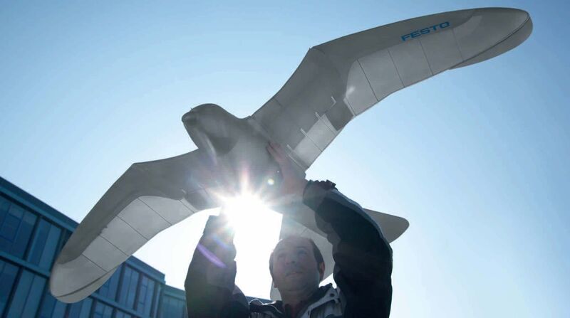 Festo entschlüsselte mit diesem Modell den Vogelflug (Archiv: Vogel Business Media)