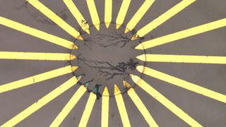 Polymer-basiertes künstliches neuronales Netz: Das stark nichtlineare Verhalten dieser Netze ermöglicht ihren Einsatz im Reservoir-Computing.
 (Bild: TU Dresden)