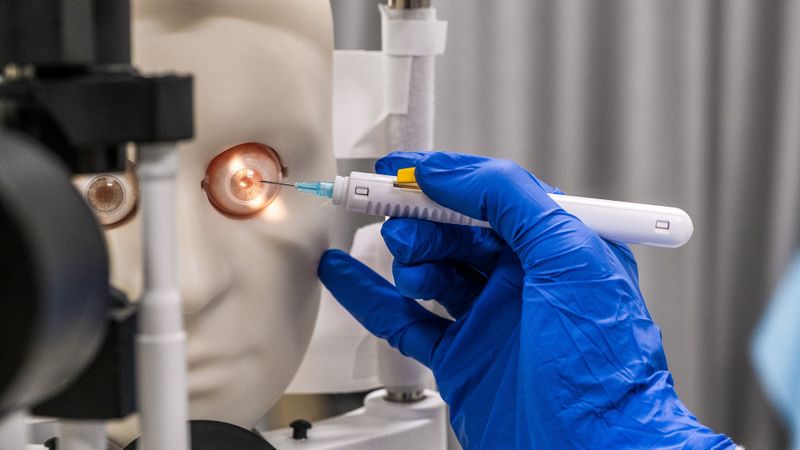Augenmodelle werden verwendet, um echtes Augengewebe für Tests und Human-Factors-Feedback zu simulieren.(Bild:  Sanner)