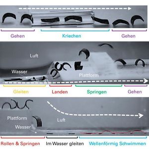 (MPI für Intelligente Systeme)