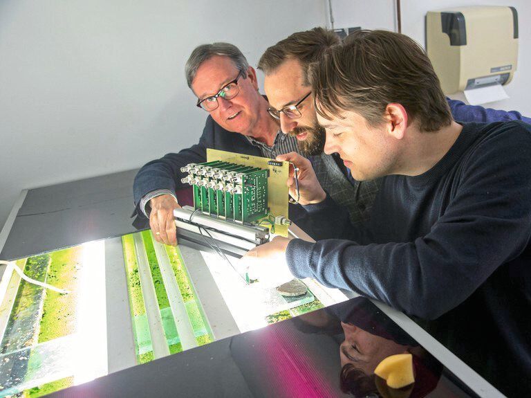 (v.l.) Prof. Dr. Gerhard von der Emde, Dr. Hendrik Herzog und Martin Gottwald mit der Kamera an einem Aquarium des Zoologischen Instituts der Universität Bonn. (Barbara Frommann/Uni Bonn)