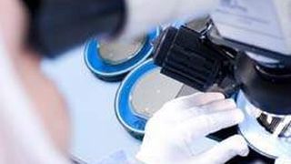 Eine neue Studie zur Rolle von Membranlipiden kann zu neuen Behandlungsmethoden von Amphetmani-Abhängigen führen. (Bild: Med Uni Wien)