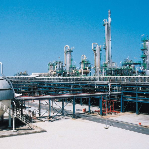 The VDMA has high expectations for ACHEMA 2012.  (Picture: PROCESS)