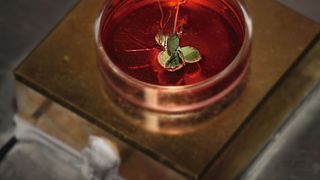 Peltier-Elemente als Alternative beim Wärmemanagement: Im Bild zu sehen ist der Einsatz von Peltier-Elementen in der Analytik. (Eureca Messtechnik)