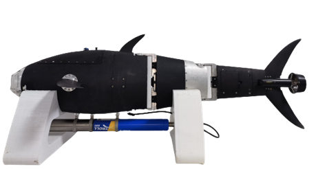 Roboterfisch. (Bild:  National Digital Fisheries Innovation Centre)